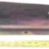 5 Hole Side Plate
